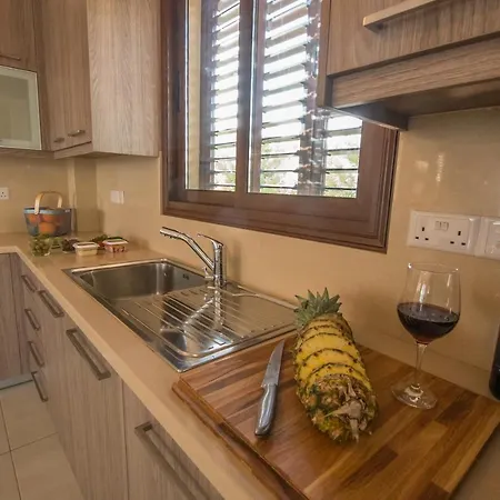 Ionion Holiday Sea View Villa Sotira (Famagusta)